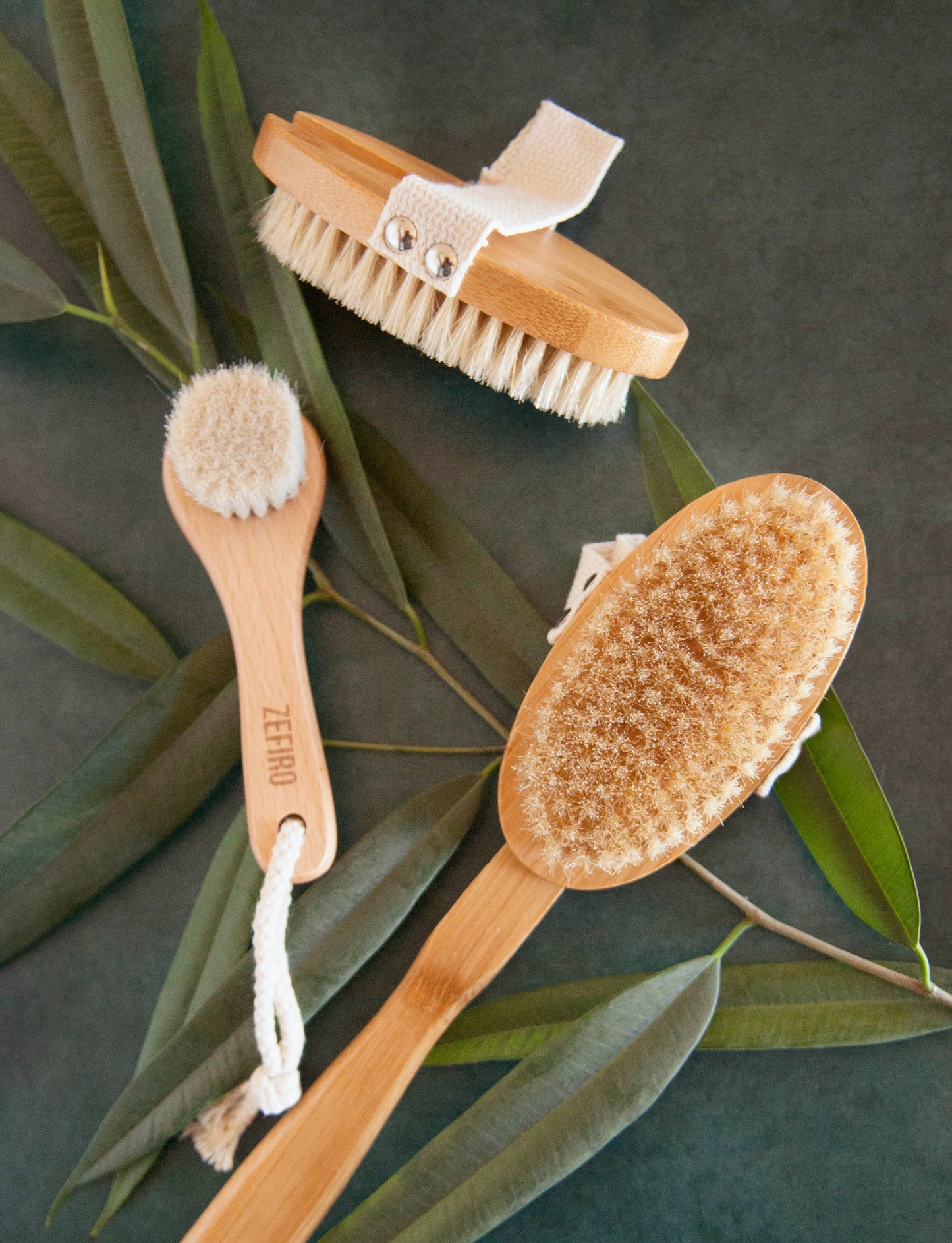 Dry Brushes