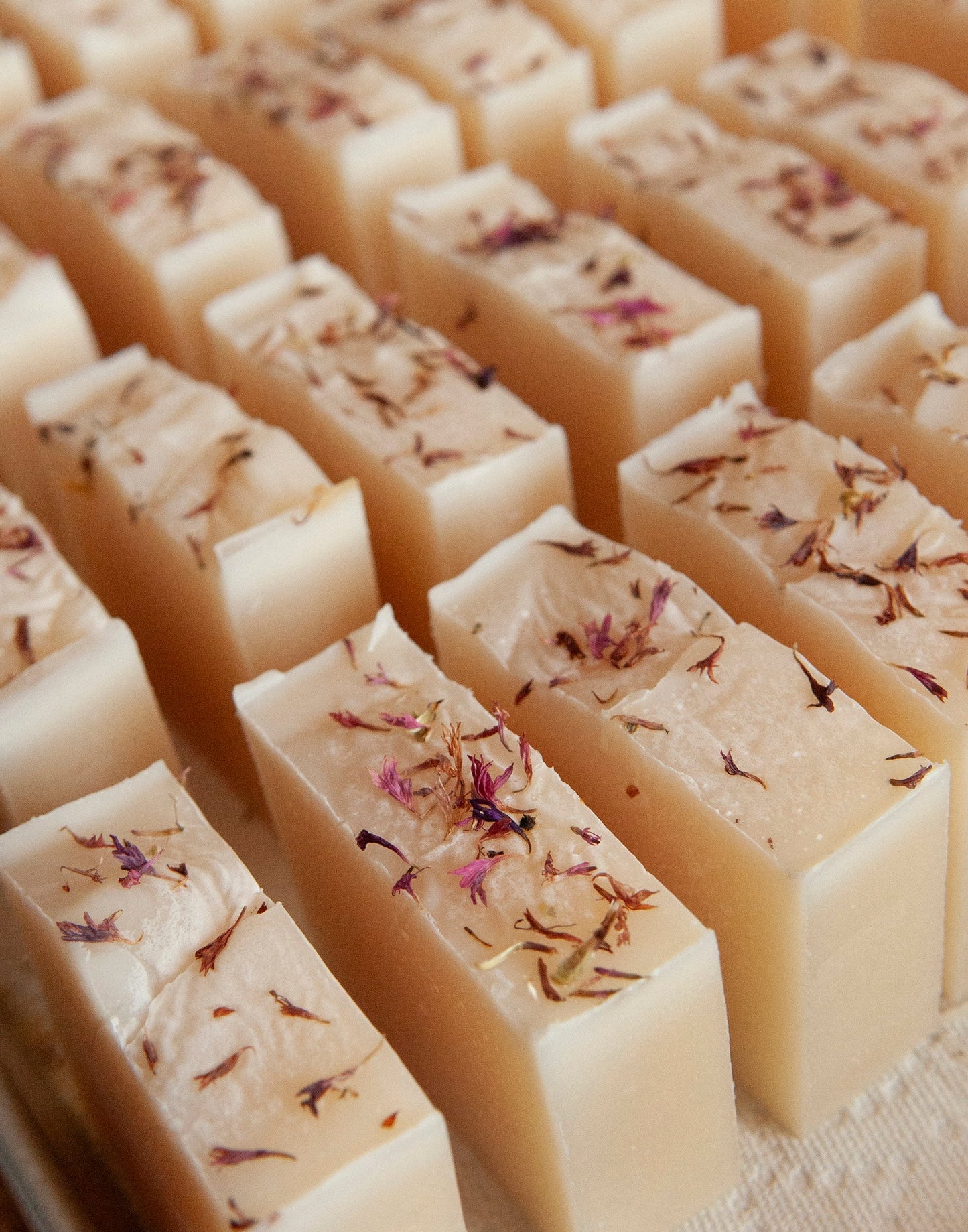 Coconut Oil Bar Soaps