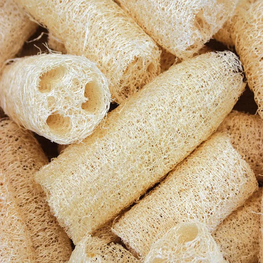 Luffa Sponges