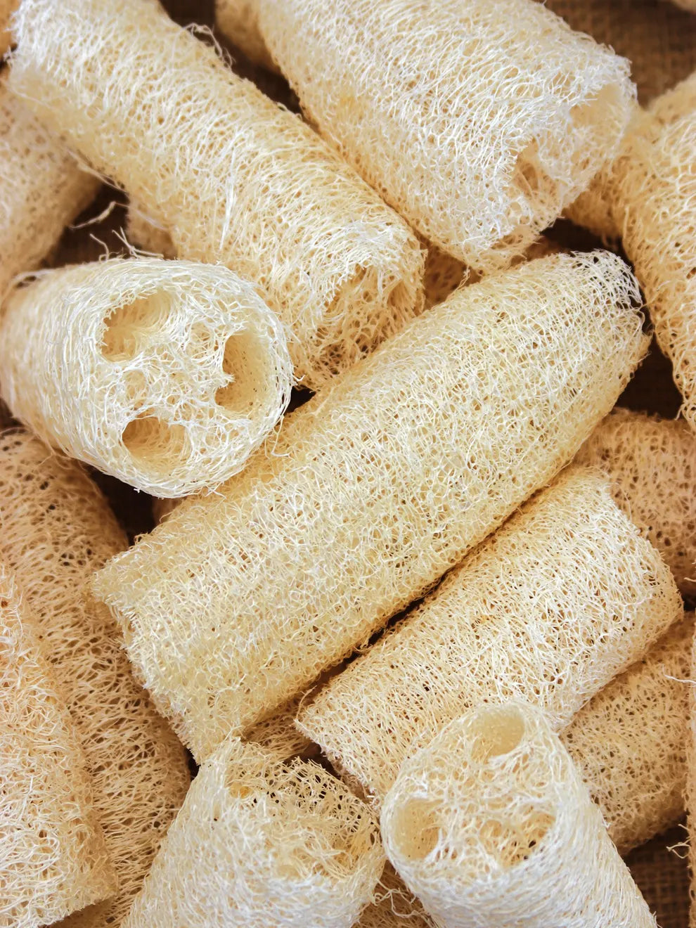 Luffa Sponges